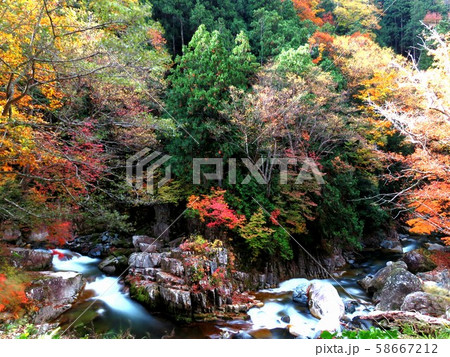 紅葉の照葉峡 2018 58667212