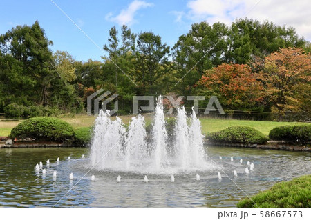 道立自然公園野幌森林公園の噴水 58667573