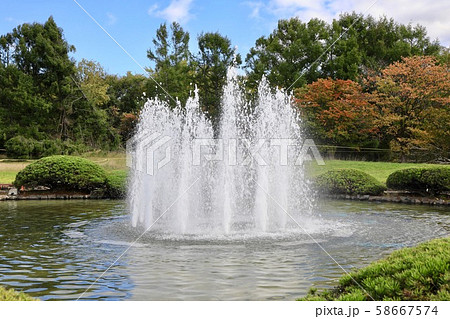 道立自然公園野幌森林公園の噴水 58667574