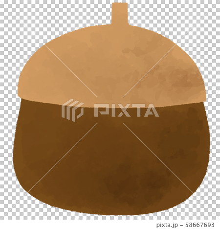 橡子秋天樹堅果 橡子秋天樹堅果 58667693