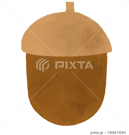 どんぐり 秋 木の実 どんぐり 秋 木の実 58667694