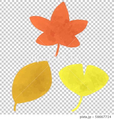 紅葉 もみじ イチョウ 落ち葉 葉 葉っぱセットのイラスト素材