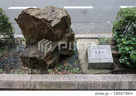 玉川上水沿いの太宰治の入水自殺現場にある玉鹿石 玉川上水沿いの太宰治の入水自殺現場にある玉鹿石 58667964