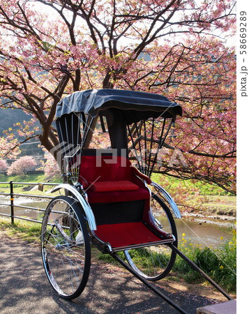 みなみの桜と人力車 58669289