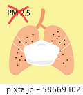 Protect PM 2.5 concept: There is lung with much dust in it from bad air pollution. Wear mask for your healthy 58669302