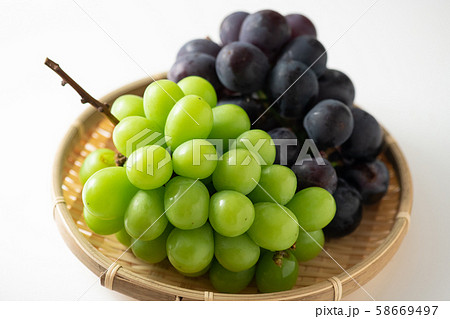シャインマスカット 巨峰 ブドウ シャインマスカット 巨峰 ブドウ 58669497