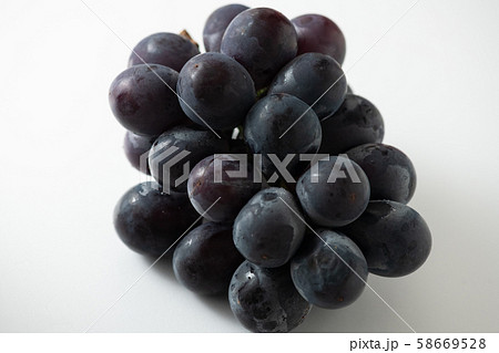 巨峰 キョホウ ブドウ 巨峰 キョホウ ブドウ 58669528