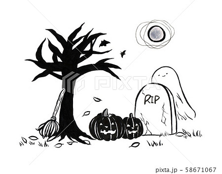 Halloween 58671067