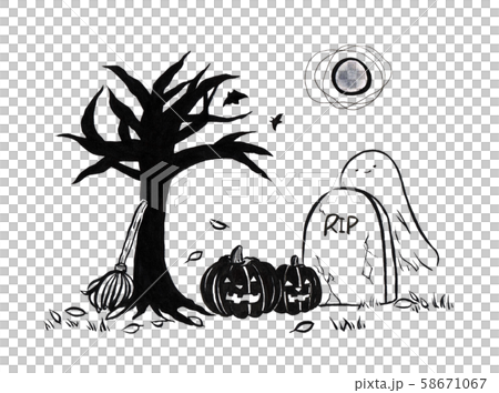 Halloween 58671067