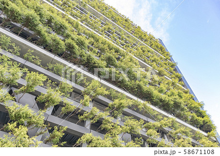 駐車場の壁面緑化 駐車場の壁面緑化 58671108