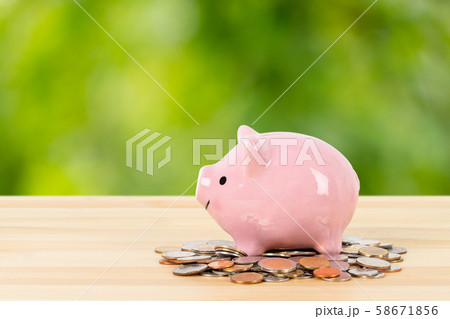 Pink piggy bank on coin pile on green tree Pink piggy bank on coin pile on green tree 58671856