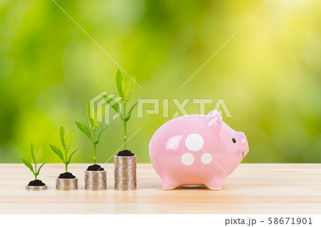 Pink piggy bank, and coin stack with growing Pink piggy bank, and coin stack with growing 58671901