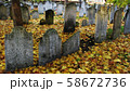 Autumn ancient graveyard with orange leaves and 58672736