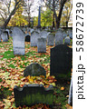 Autumn ancient graveyard with orange leaves and 58672739