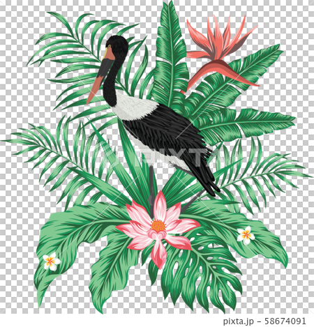 Exotic print realistic vector stork leaves flowers 58674091