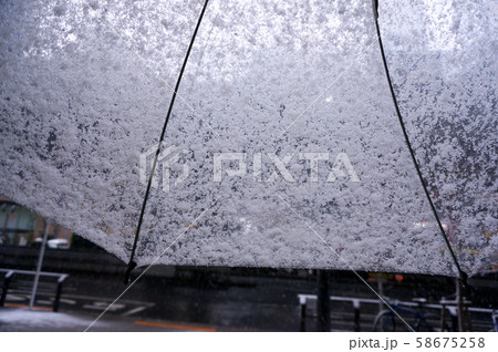 snow day / 雪の日 snow day / 雪の日 58675258