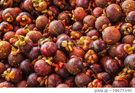 Mangosteen fruit of Thailand. Mangosteen fruit of Thailand. 58675340