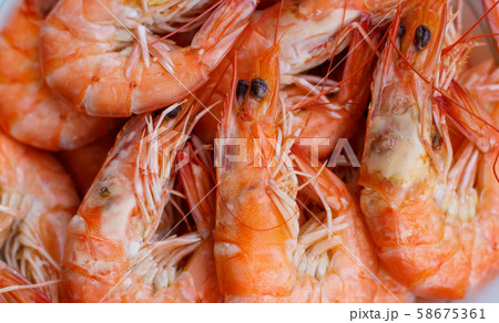 Steamed cooked prawns Steamed cooked prawns 58675361
