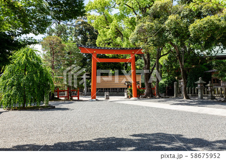 朱色の城南鳥居 朱色の城南鳥居 58675952
