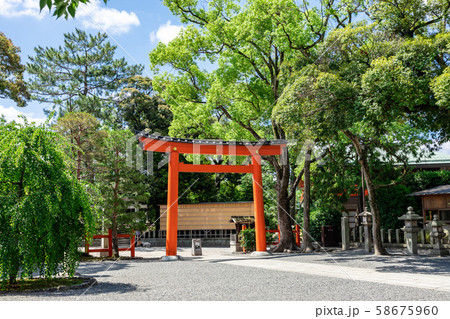朱色の城南鳥居 朱色の城南鳥居 58675960