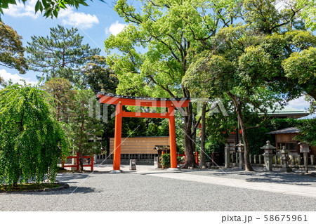 朱色の城南鳥居 58675961