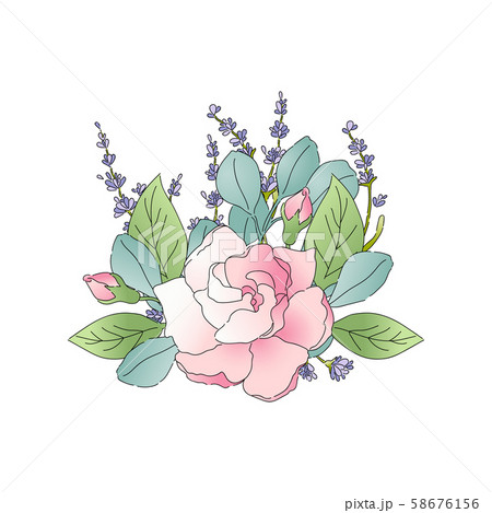 Isolated pink flower composition 58676156
