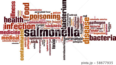 Salmonella word cloud 58677935