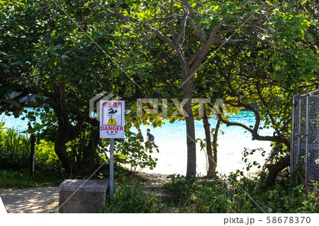 石垣島 - 川平公園 石垣島 - 川平公園 58678370