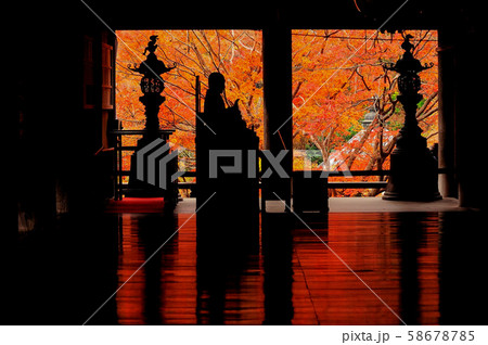 花の御寺！奈良大和路 58678785