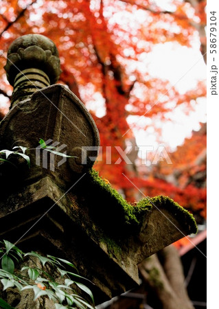 奈良大和路・長谷寺の紅葉 奈良大和路・長谷寺の紅葉 58679104