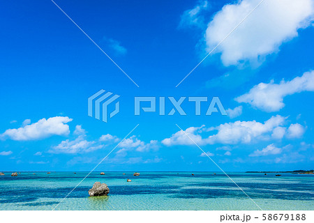 佐和田の浜　朝 58679188