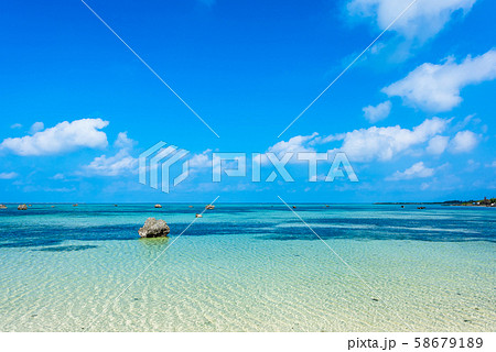 佐和田の浜　朝 58679189