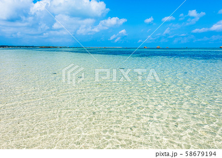 佐和田の浜　朝 58679194