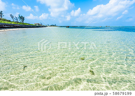 佐和田の浜　朝 58679199