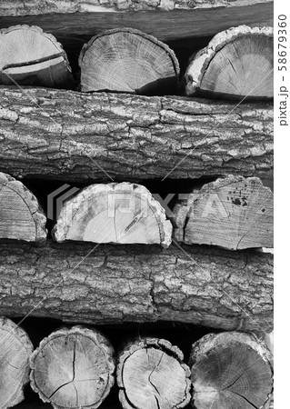 薪 木 越冬 58679360