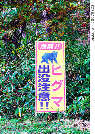 熊出没注意 58679822