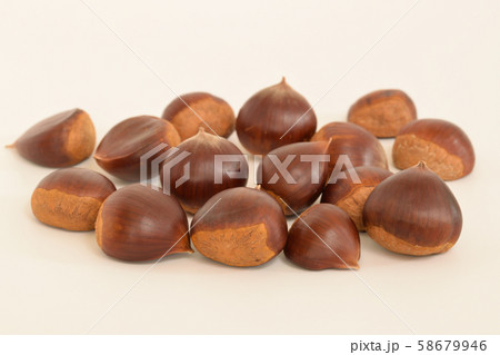 栗いっぱい 58679946