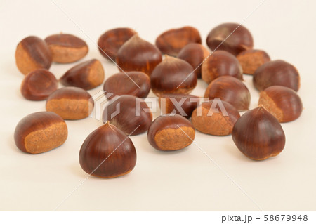 栗いっぱい 58679948