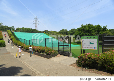 東京都小金井市 小金井公園 ソリゲレンデ 東京都小金井市 小金井公園 ソリゲレンデ 58680214