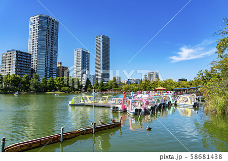 東京都 上野恩賜公園 不忍池 スワンボートの写真素材