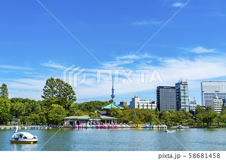 東京都 上野恩賜公園 不忍池 東京スカイツリーの写真素材