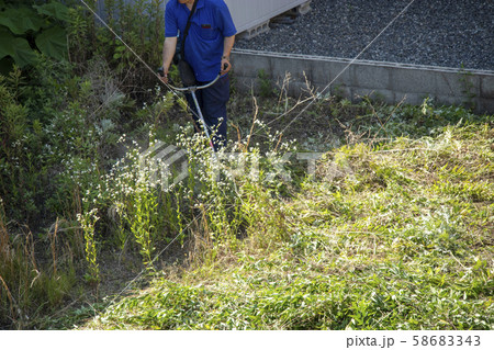 草刈機で草を刈る作業員の男性 58683343