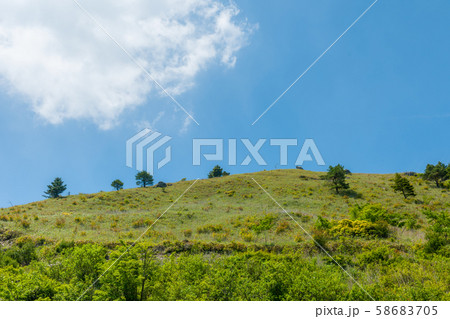 秘境・祖谷渓！新緑の落合峠 58683705