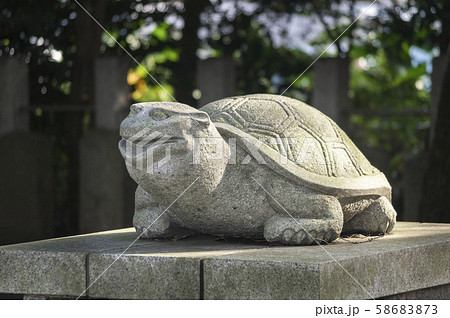 妙見狛亀 妙見狛亀 58683873