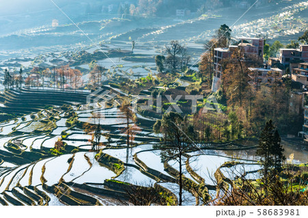 Small village and Terraced rice fields of YuanYang China in the morning 58683981
