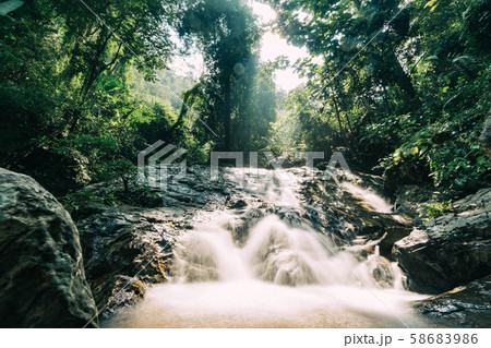 Small beautiful waterfall in the forest Small beautiful waterfall in the forest 58683986