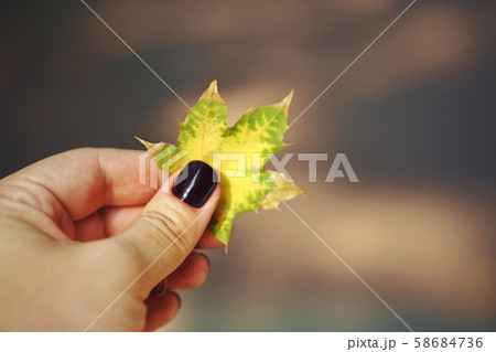 Autumn background 58684736