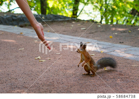 Autumn background 58684738