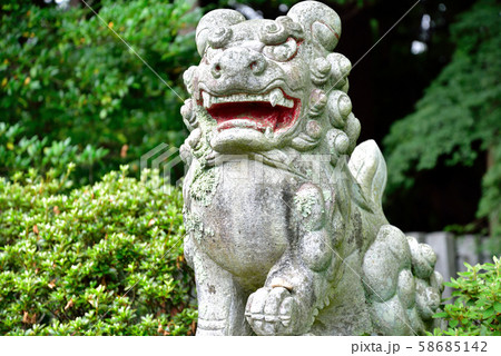 狛犬 狛犬 58685142