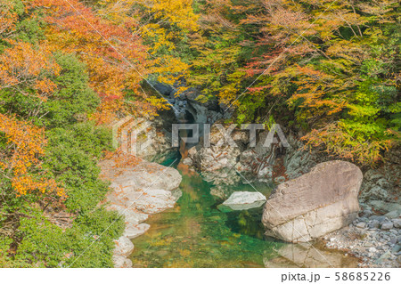 仁淀ブルーと紅葉！ 58685226